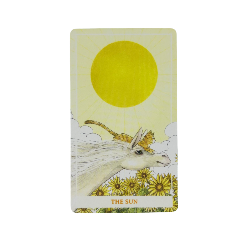 Sunny Orange Cat Tarot-Deck, 7 – Party Games Sunny Bewertung und Preis